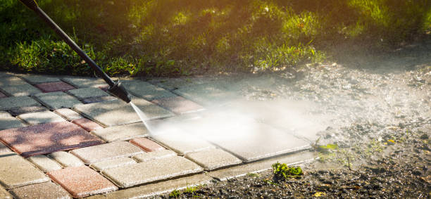Best Pool Deck Cleaning  in Mayer, MN